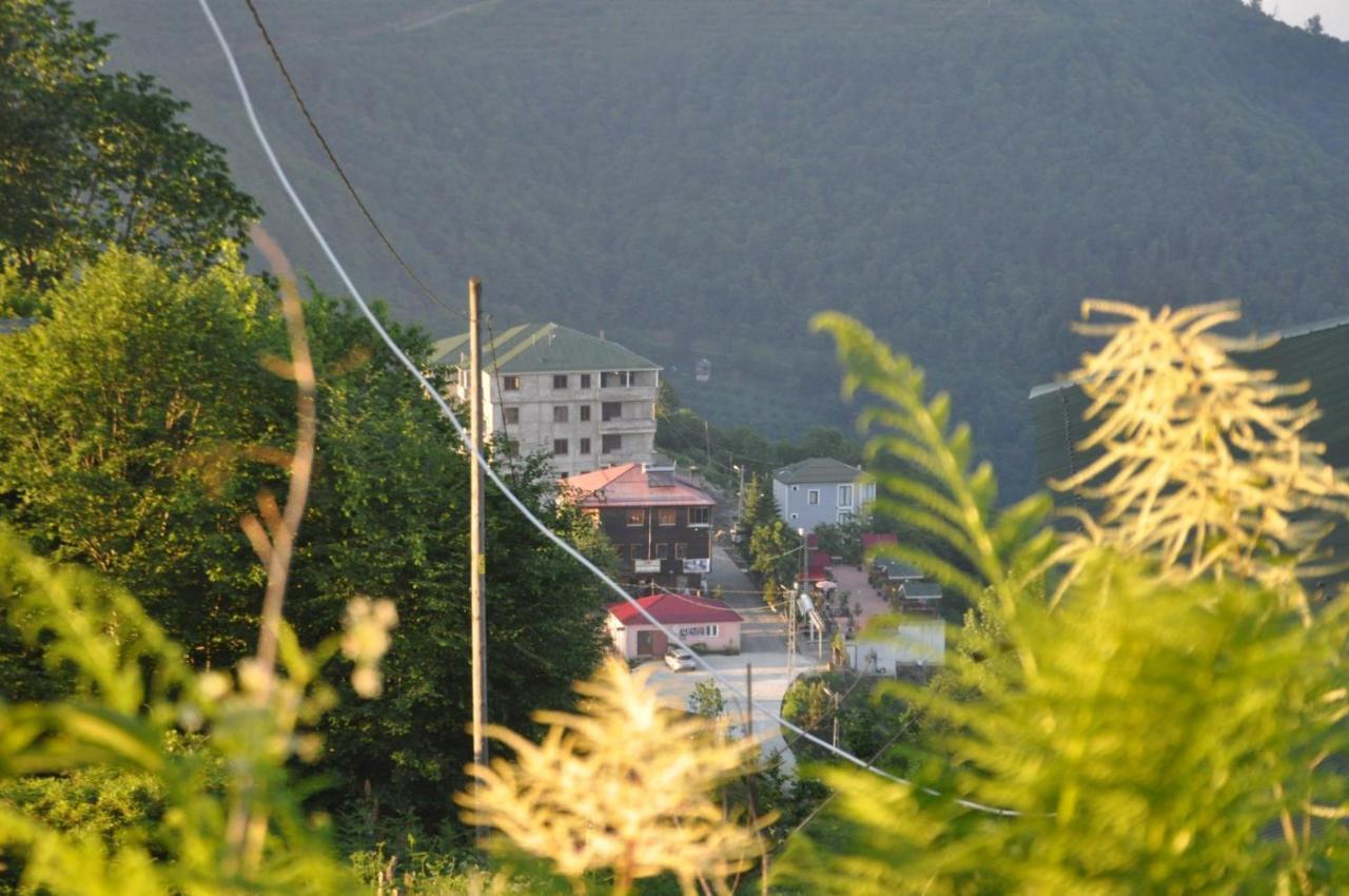 Sirt Butik Hotel Akcaabat エクステリア 写真